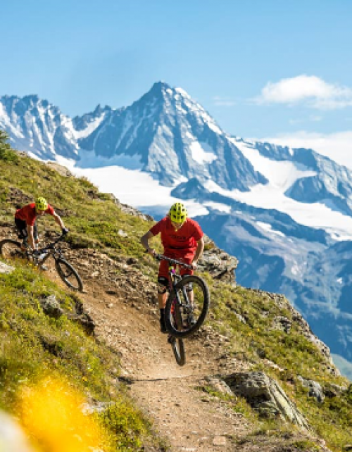 Mountainbiken Goldriedriese
