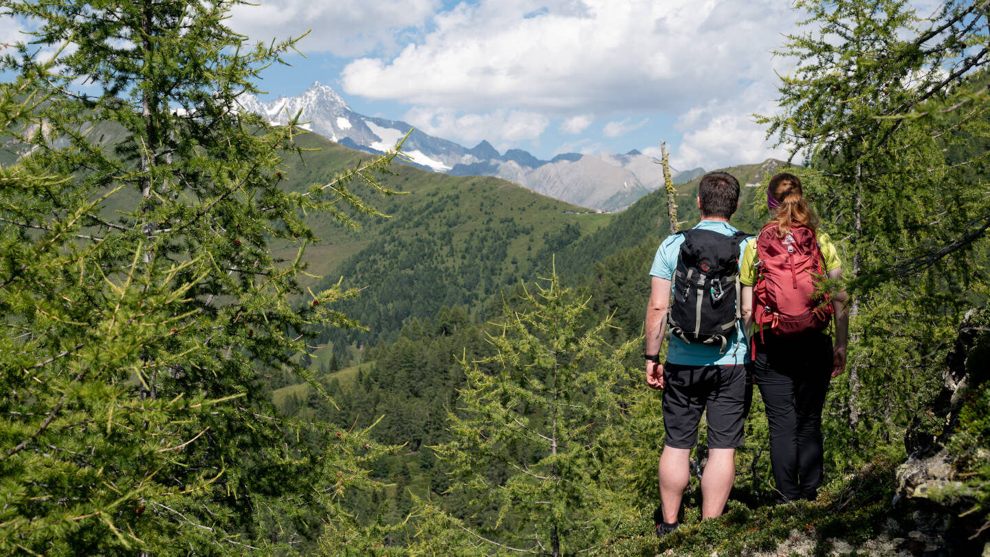 Bärensteig Wanderung