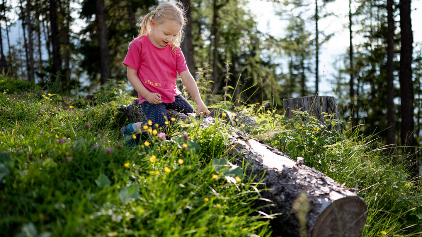 Wanderung Bärensteig
