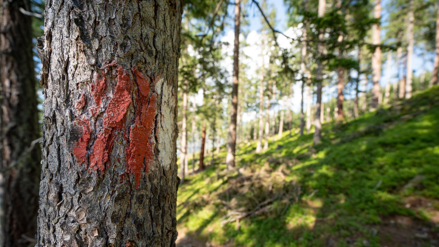 Wanderung Bärensteig