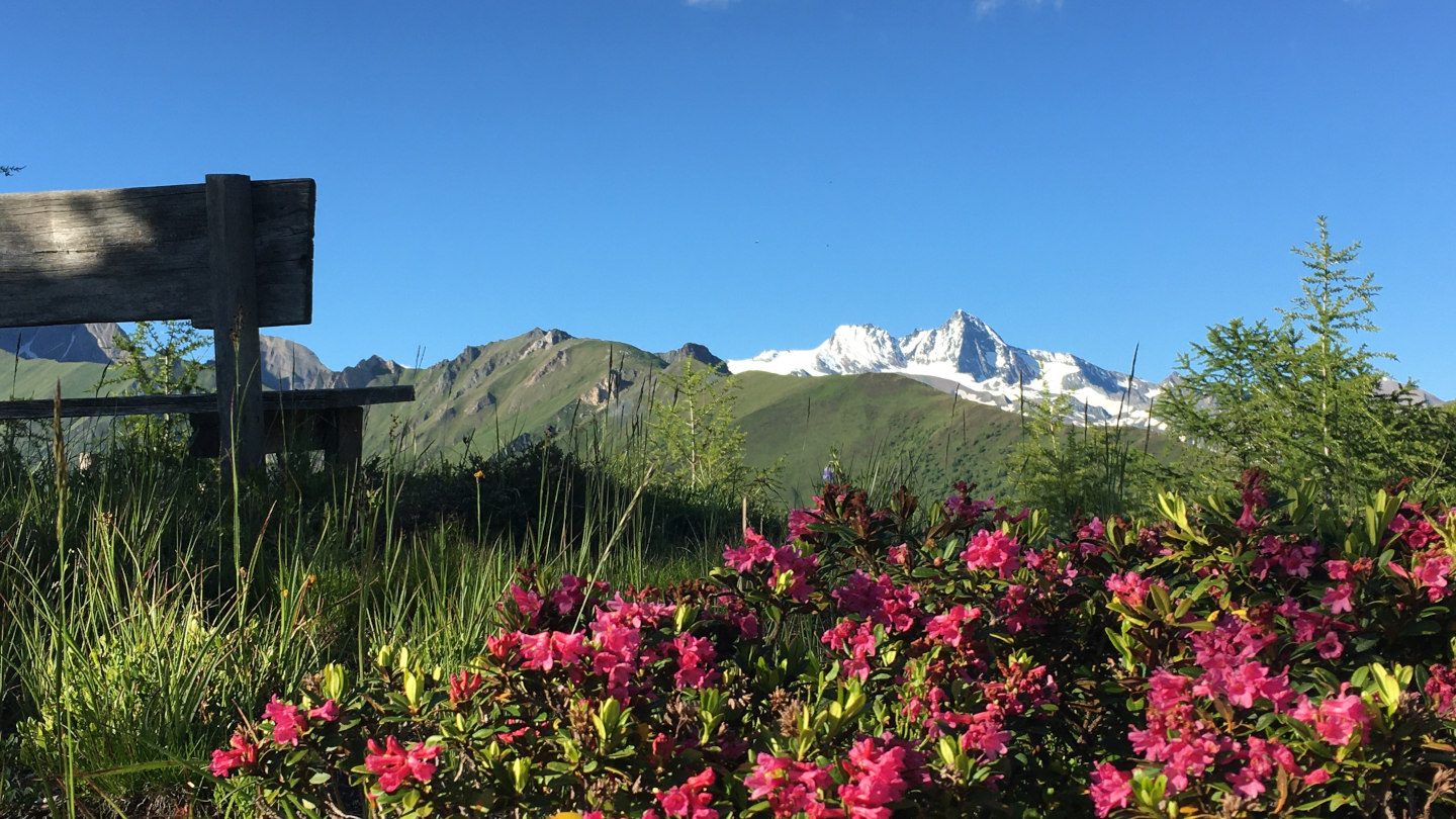 Wanderung Goldriedriese