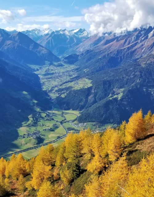 Goldriedriese Wanderung