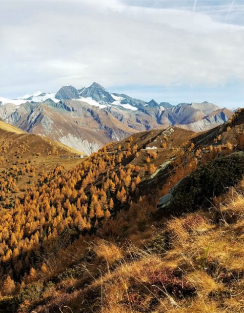 Europa Panoramaweg Goldriedriese