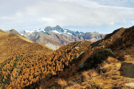 Europa Panoramaweg Goldriedriese