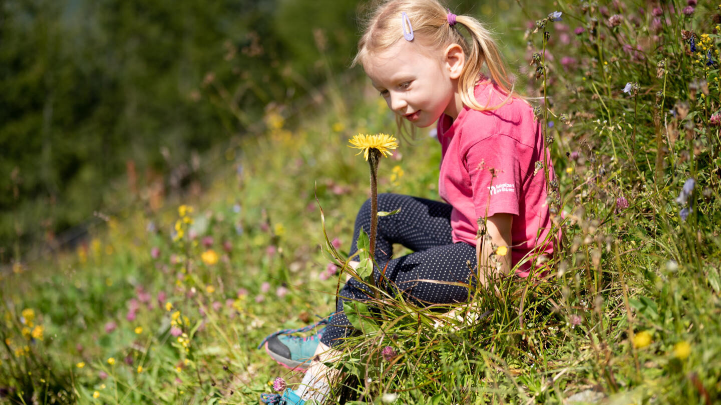 Familienwanderung Goldriedriese
