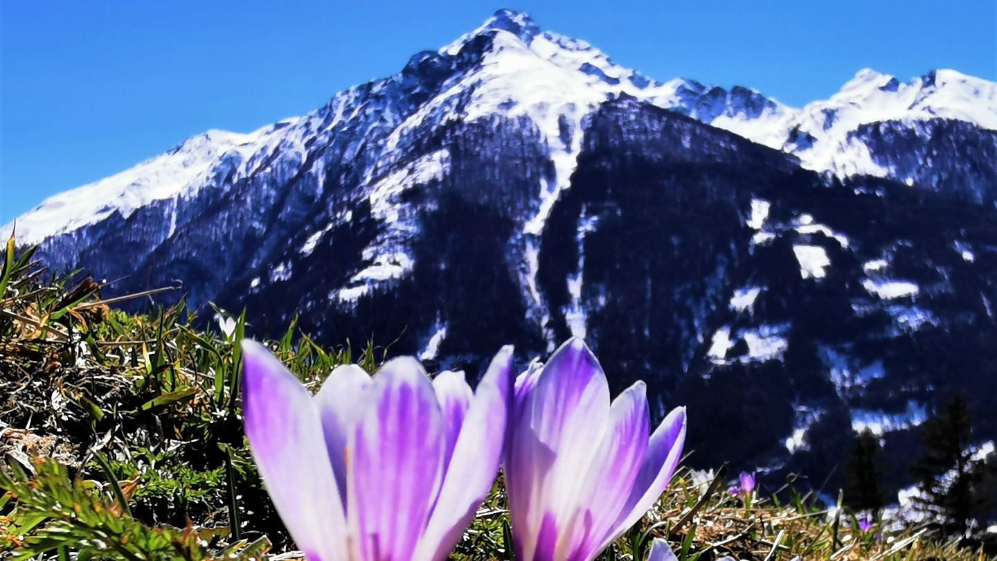 Wanderung Abstieg nach Matrei