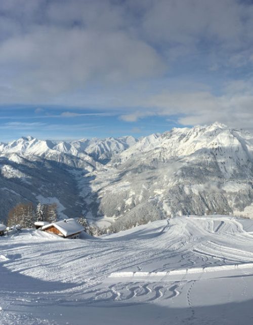 Winter Goldriedriese