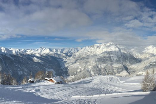 Winter Goldriedriese
